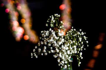 . Bokeh and Matplotlib are powerful visualization libraries that serve different purposes....