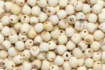 Top view of dried lotus seeds or for background