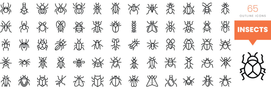 Set of minimalist linear insects icons. Vector illustration