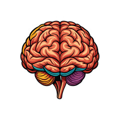 Create a detailed vector illustration of the human brain, highlighting its intricate structure and lobes.  Show both hemispheres clearly.