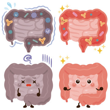 悪玉菌が多い腸のキャラクターと善玉菌が多い腸のキャラクター