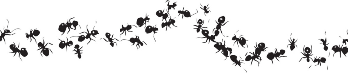A herd of silhouettes of ants walking in orderly formation, emphasizing unity and discipline. Ideal for creative projects, science visuals, and nature-inspired designs.