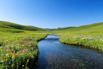 Fototapeta premium A serene stream winding through rolling hills under a clear blue sky, surrounded by wildflowers swaying in the breeze
