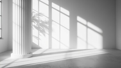 Fototapeta premium Sunlit Minimalist Interior with Grecian Column and Plant Shadow