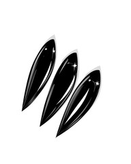 Three Black Shiny Seeds