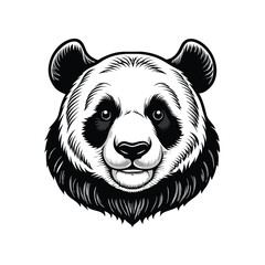 Detailed vector illustration of a panda bear, sketched in an engraving style.  Perfect for logos, prints, or web design.