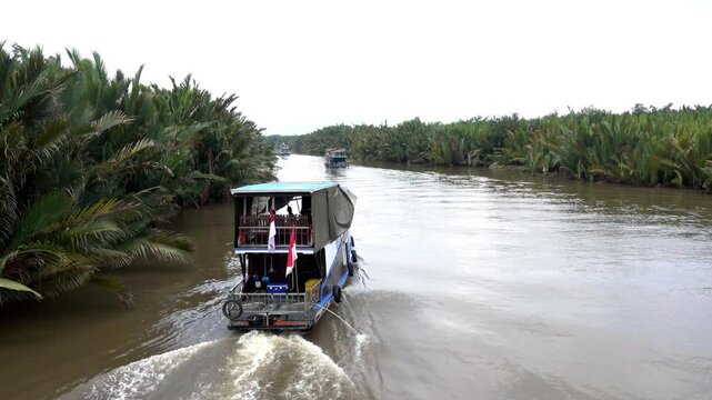 Klotok boats travel upriver in Borneo.