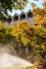 A sprinkler watering a tree in front of a building