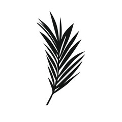Tropical leaves vector 