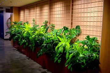 A contemporary and stylish indoor seating arrangement featuring vibrant orange upholstered chairs and a wooden table. The seating area is surrounded by lush green indoor plants.