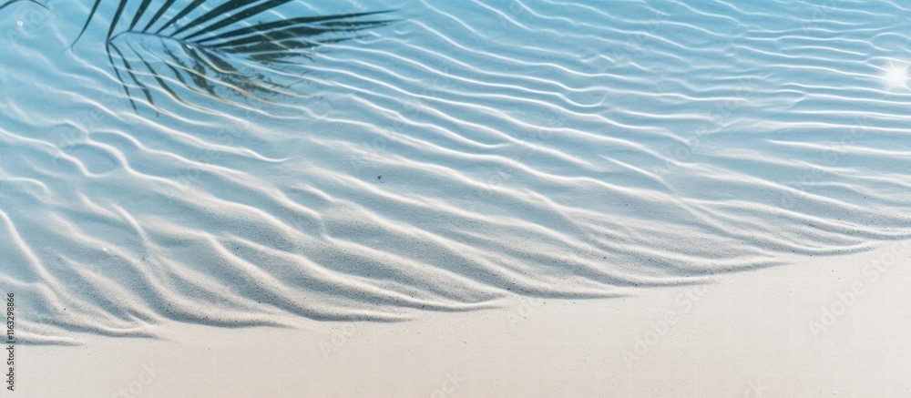 Poster abstract pattern of palm leaf shadow on rippling sand with soft blue and white tones capturing seren