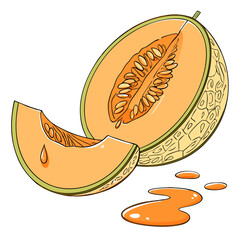 Cantaloupe