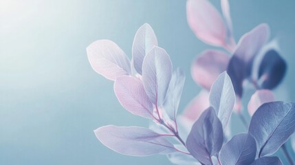 A dreamy pastel composition of light dusty blue and muted lilac tones, creating a tranquil abstract background