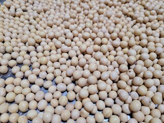 메주콩 두부콩 콩나물콩