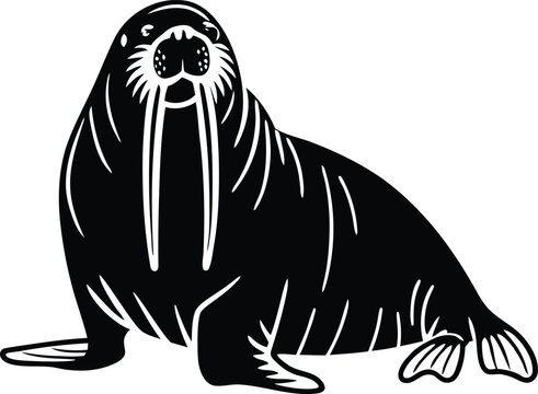recommend clip art: Walrus silhouette vector illustration, Walrus line art vector, Walrus vector