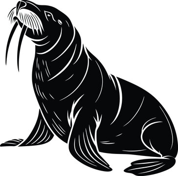 recommend clip art: Walrus silhouette vector illustration, Walrus line art vector, Walrus vector