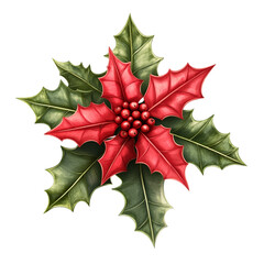 Fototapeta premium Red poinsettia flower with green leaves.