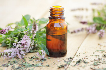 Mint essential oil or extract  on wooden rustic background with fresh flowers nearby, copy space, natural medicine,  natural hair and skin treatment, aromatherapy concept