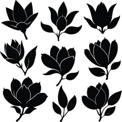 Magnolia Flower Silhouettes: Vector Art Set of Floral Designs, Botanical Illustrations, Black and White Graphics for Crafts & Digital Projects
