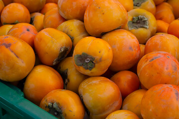 A view of a pile of giant fuyu persimmons, on display at a local farmers market.