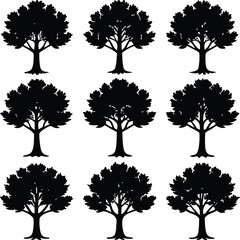 Fototapeta premium twinkling elm black color silhouette vector design 