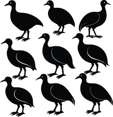 Fototapeta premium set of 9 consistent camel new black color silhouette vector