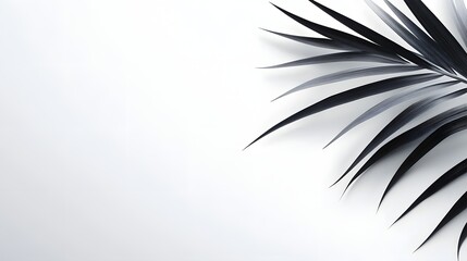 Obraz premium Dark Palm Frond Against White Background