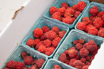 A view of several cartons of Mandarin melon berries, on display at a local farmers market.