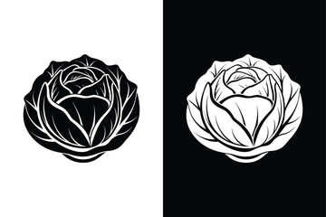 Thin Line Cabbage Illustration. Fresh and Modern Vegetable Art