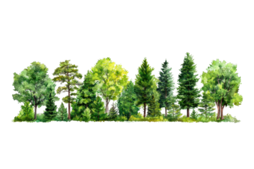 Lush Green Line of Dense Trees in Vibrant Colors