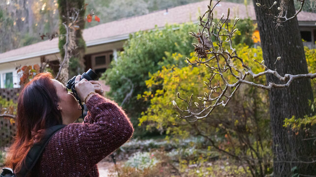 woman making photographs of a tree