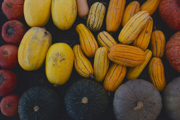 A top down view of a table of squash varieties, on display at a local farmers market.