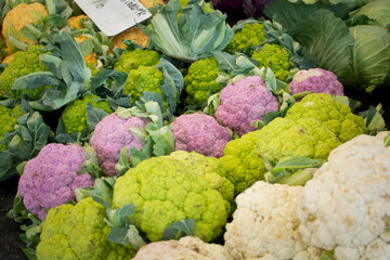 A view of a variety of cauliflowers, on display at a local farmers market.