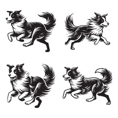 Dynamic Silhouettes of Running Border Collie Capturing Agility and Elegance in Black and White