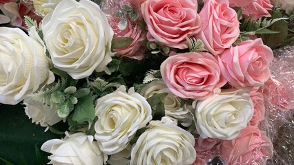 view white and pink rose flowers.  rose flower background. Selective focus.