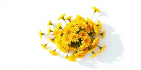 A vibrant bouquet of sunny yellow wildflowers arranged in a circular pattern against a bright white backdrop