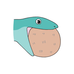 卵を丸呑みする蛇の横顔