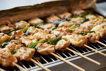 Grilled chicken skewers, seasoned chicken
