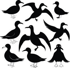 Obraz premium set consistent albatross black color silhouette vector