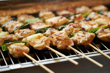 Grilled chicken skewers, seasoned chicken