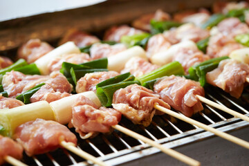 Grilled chicken skewers, seasoned chicken