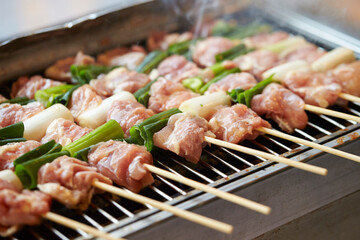 Grilled chicken skewers, seasoned chicken