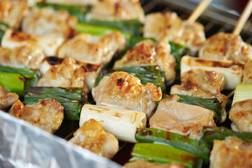 Grilled chicken skewers, seasoned chicken