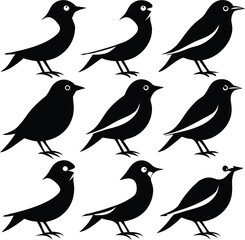 Fototapeta premium set consistent black throated green warbler black color silhouette vector 