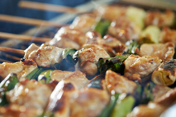 Grilled chicken skewers, seasoned chicken