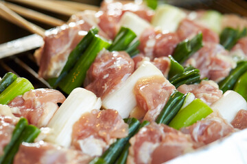 Grilled chicken skewers, seasoned chicken