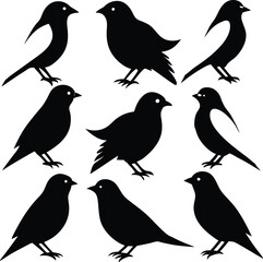 Fototapeta premium set consistent canary yellow black color silhouette vector