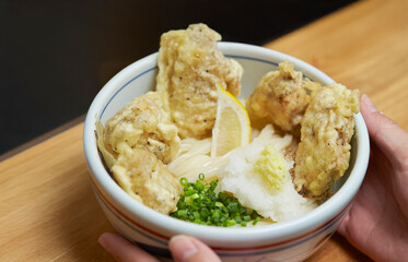 Udon with chicken, Japanese style udon	