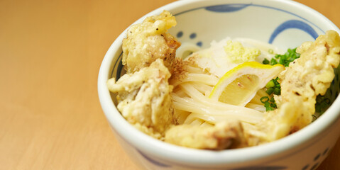 Udon with chicken, Japanese style udon