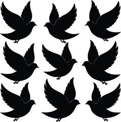 Obraz premium set consistent dove black color vector